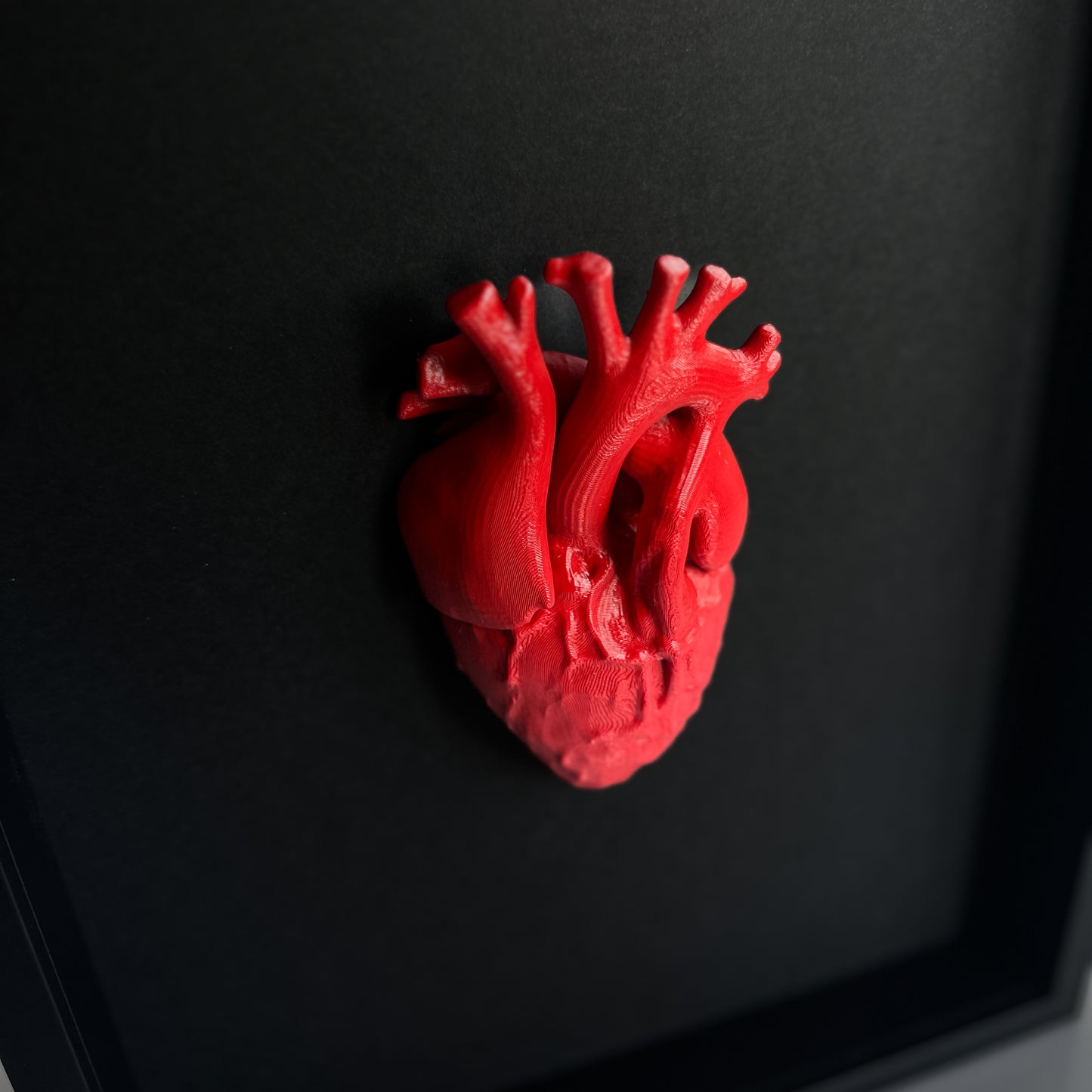 Heart 3D Anatomical - Realistic Heart Sculpture in a Deep Black Frame | Unique Wall Art and Medical Gift
