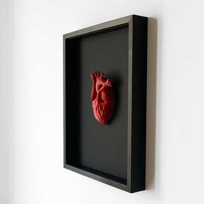 Heart 3D Anatomical - Realistic Heart Sculpture in a Deep Black Frame | Unique Wall Art and Medical Gift