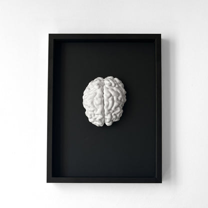 3D Brain - Realistic Brain Sculpture in a Deep Black Frame | Unique Wall Art and Medical Gift