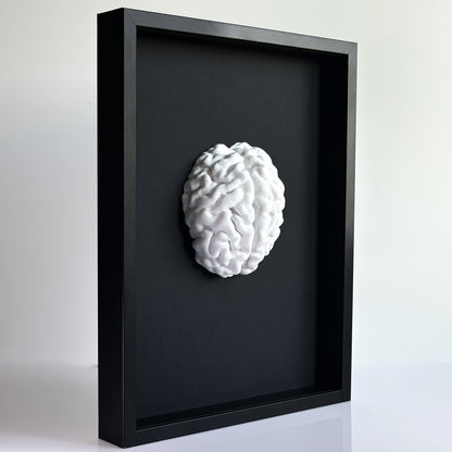 3D Brain - Realistic Brain Sculpture in a Deep Black Frame | Unique Wall Art and Medical Gift