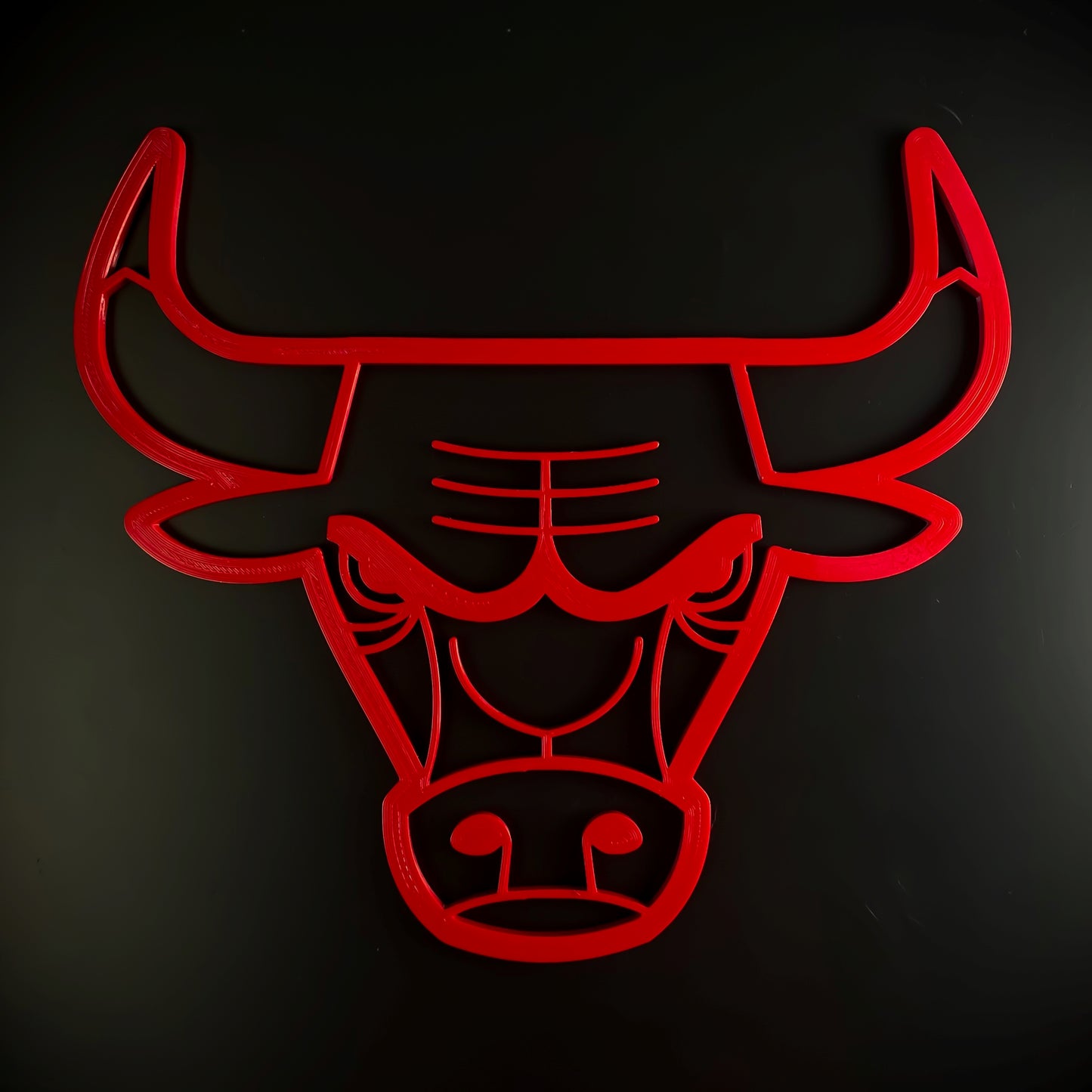 Chicago Bulls Wall Decor