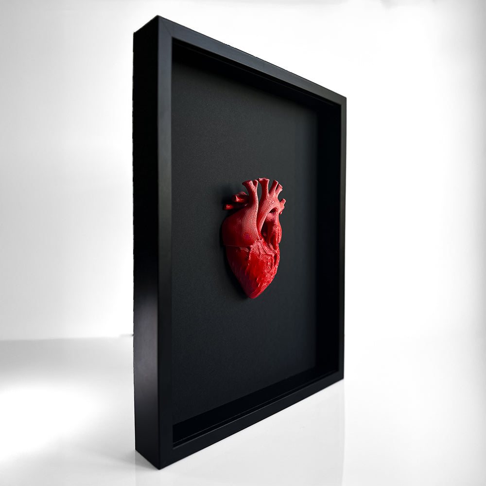 Heart 3D Anatomical - Realistic Heart Sculpture in a Deep Black Frame | Unique Wall Art and Medical Gift